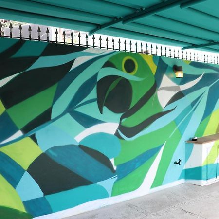 Mondo Verde Hostel 圣保罗 外观 照片